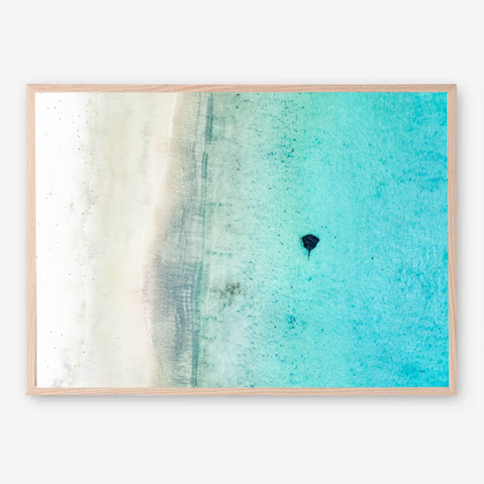 Sting Ray in Beautiful Teal Water